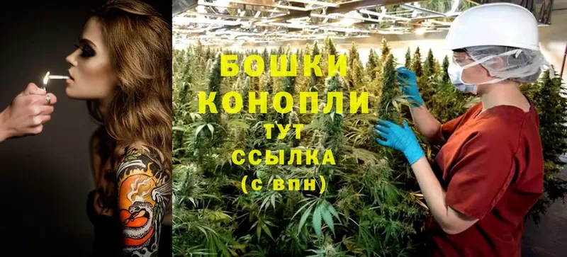 Шишки марихуана OG Kush  Изобильный 